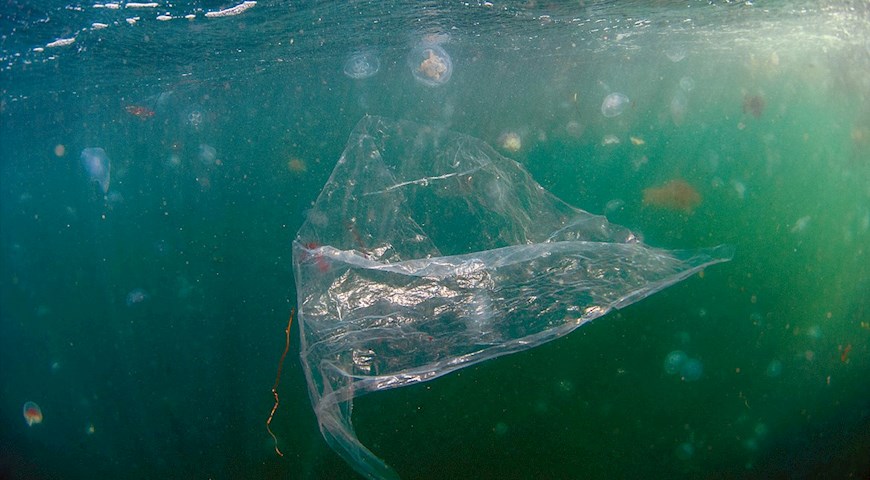plastpartiklar i havet
